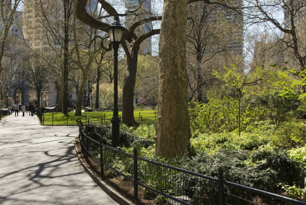 Central Park de Nueva York solo sin personas